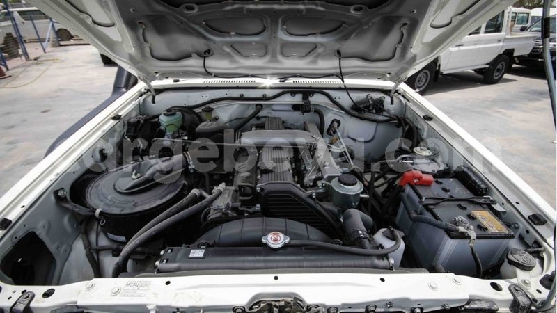 Big with watermark 12