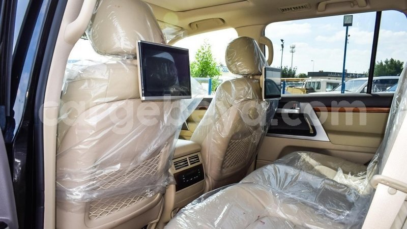 Big with watermark 8