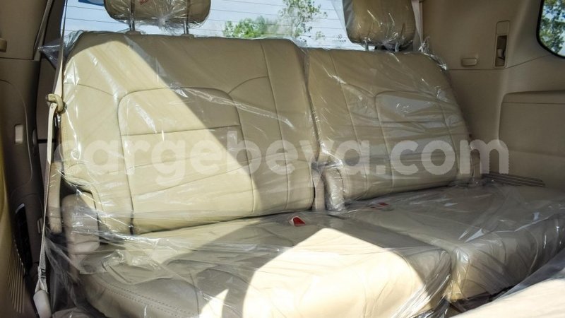 Big with watermark 9