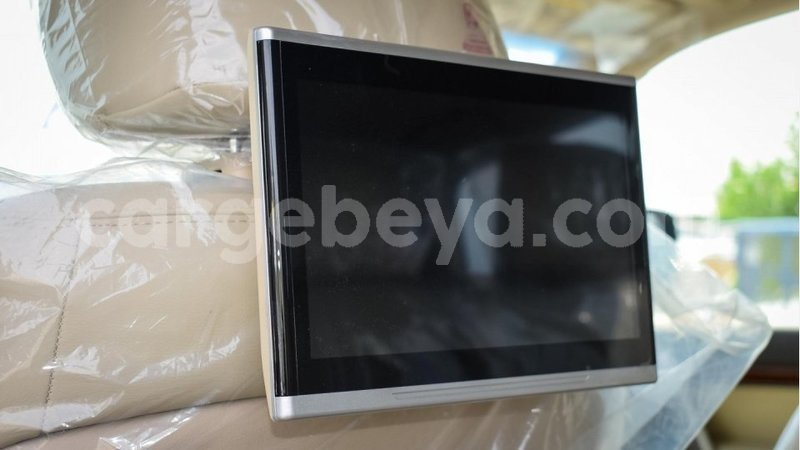 Big with watermark 11