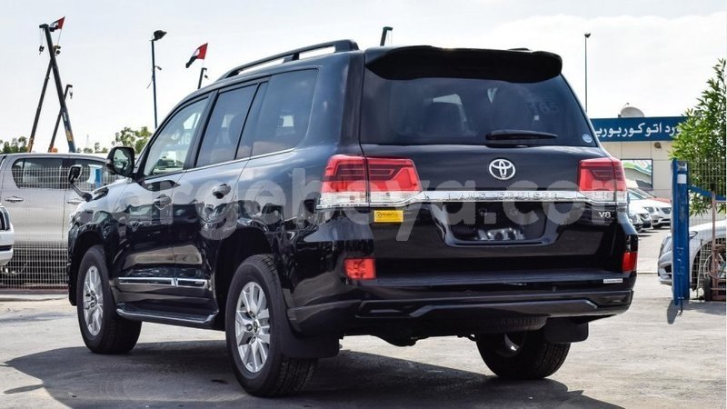 Big with watermark 14