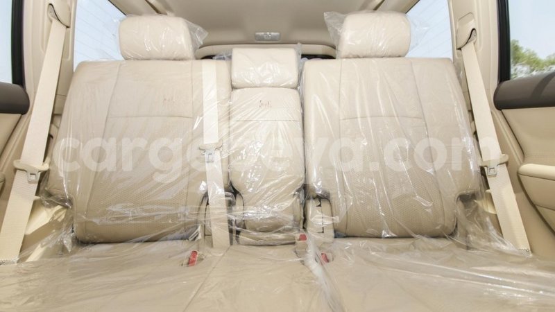 Big with watermark 8