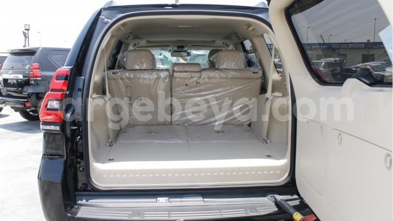 Big with watermark 12