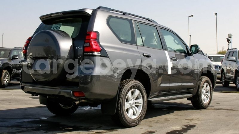 Big with watermark 12