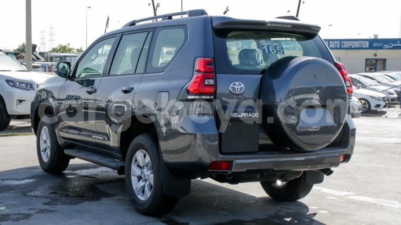 Big with watermark 14