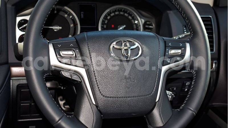 Big with watermark 10