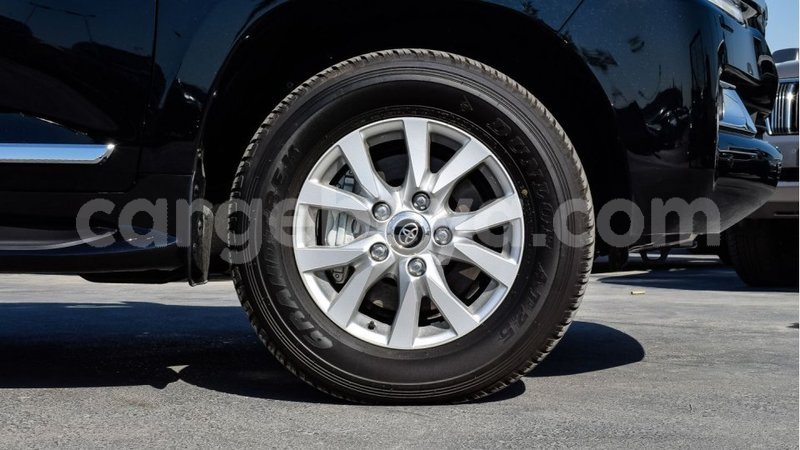 Big with watermark 16