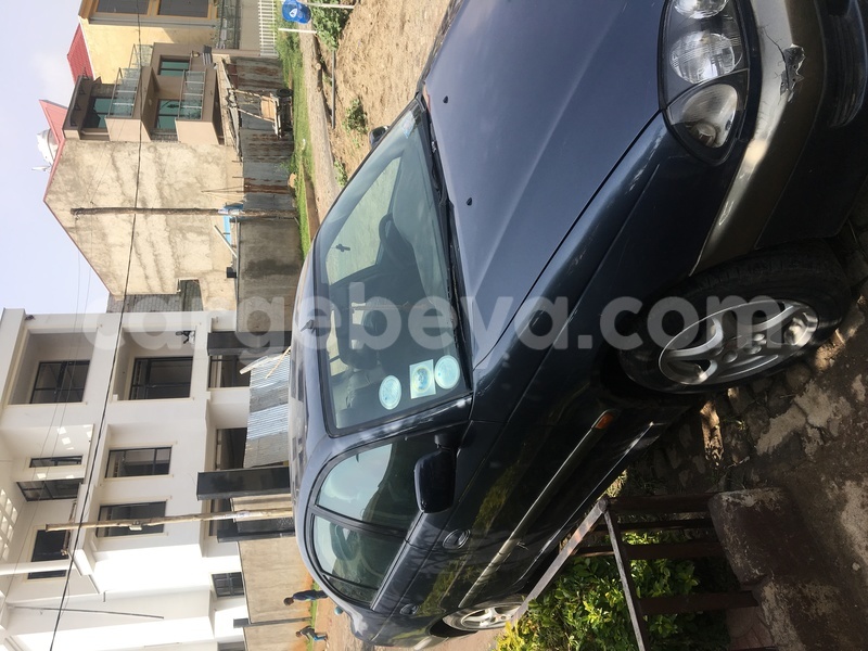 Big with watermark img 4881