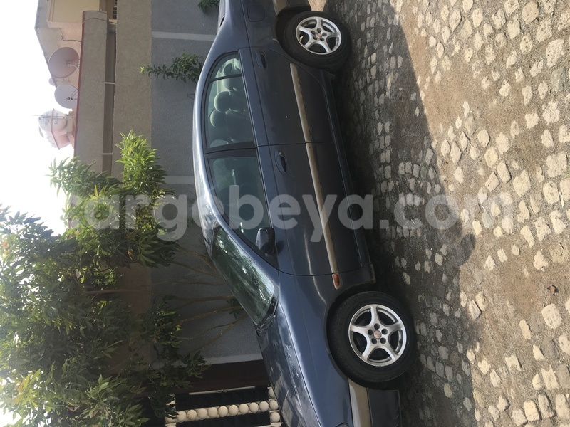 Big with watermark img 4882