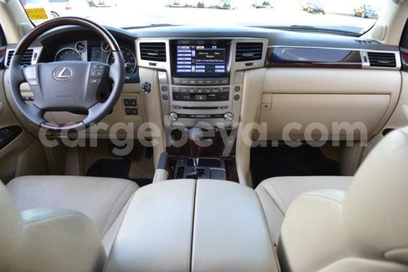 Big with watermark 2