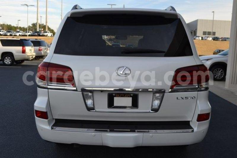 Big with watermark 4