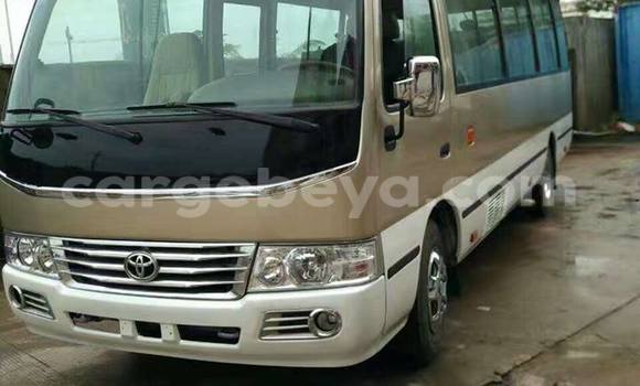 Buy Used Toyota Coaster Beige Car in Addis–Ababa in Ethiopia Buy Used Toyota Coaster Beige Car in Addis–Ababa in Ethiopia