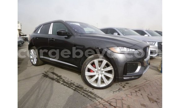 Buy Import Jaguar F-Type Black Car in Import - Dubai in Ethiopia