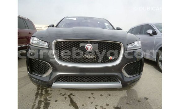 ይግዙ Imported Jaguar F-Type ጥቁር መኪና በ Import - Dubai በ ኢትዮጵያ ይግዙ Imported Jaguar F-Type ጥቁር መኪና በ Import - Dubai በ ኢትዮጵያ