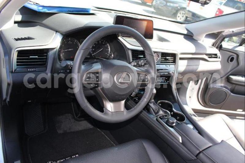 Big with watermark 21