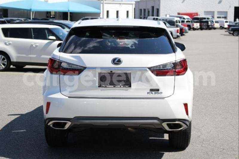 Big with watermark 6