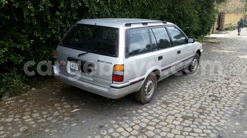 Big with watermark 18954797 10109901822210850 5806381462207131836 o