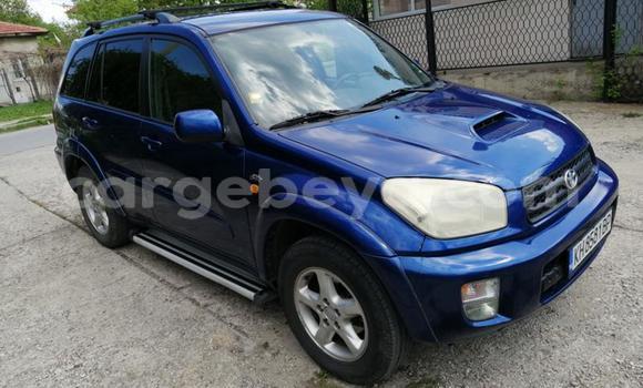 Buy Used Toyota RAV4 Blue Car in Addis–Ababa in Ethiopia Buy Used Toyota RAV4 Blue Car in Addis–Ababa in Ethiopia