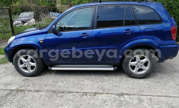 Buy Used Toyota RAV4 Blue Car in Addis–Ababa in Ethiopia Buy Used Toyota RAV4 Blue Car in Addis–Ababa in Ethiopia