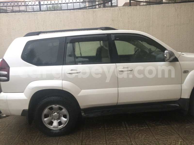 Big with watermark img 3376