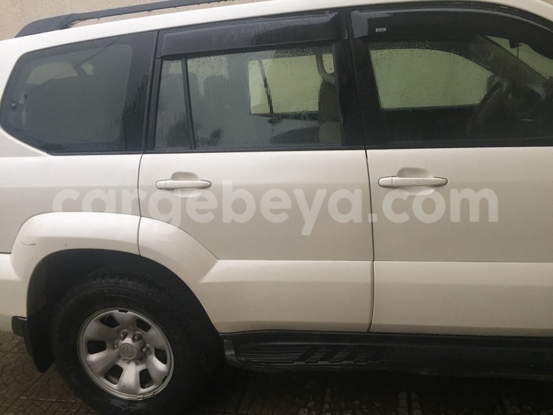 Big with watermark img 3377