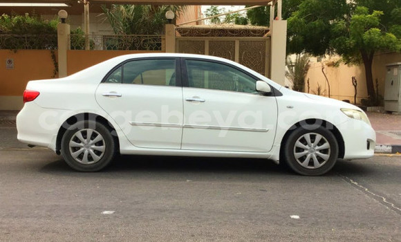 Buy Used Toyota Corolla White Car in Addis–Ababa in Ethiopia Buy Used Toyota Corolla White Car in Addis–Ababa in Ethiopia