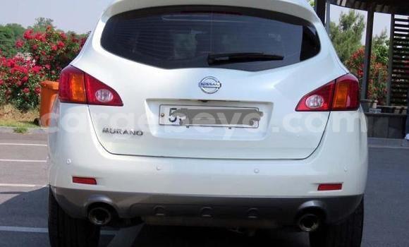Buy Used Nissan Murano White Car in Addis–Ababa in Ethiopia Buy Used Nissan Murano White Car in Addis–Ababa in Ethiopia
