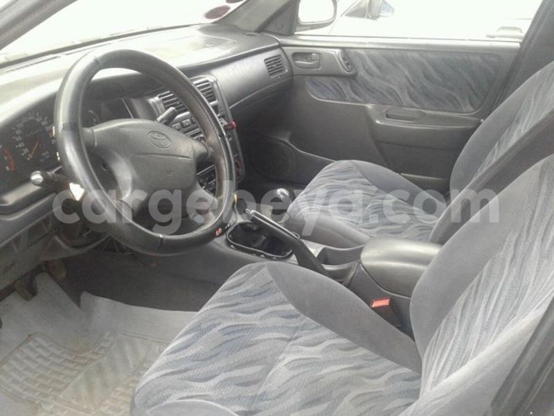 Big with watermark 18954797 10109901822210850 5806381462207131836 o