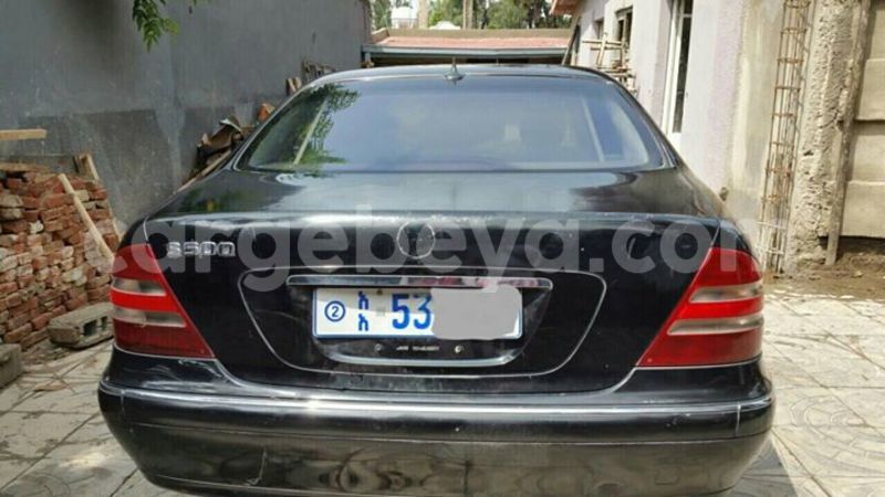 Big with watermark 18952779 709237862582138 3608237861038673941 n