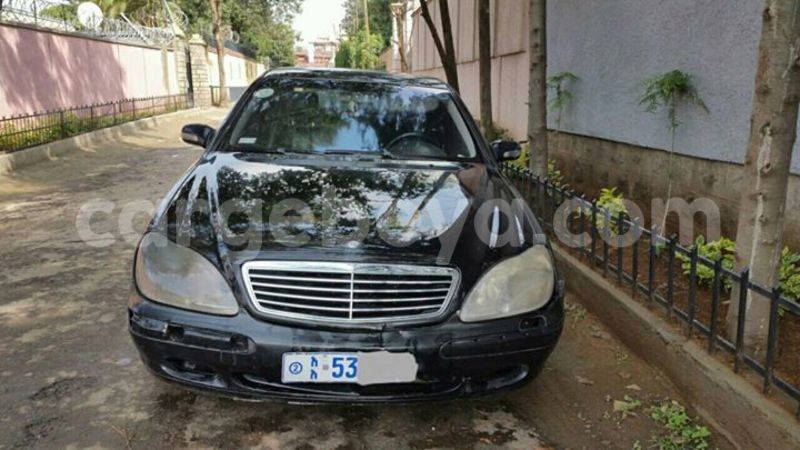 Big with watermark 19030339 709237869248804 8378660185752961642 n