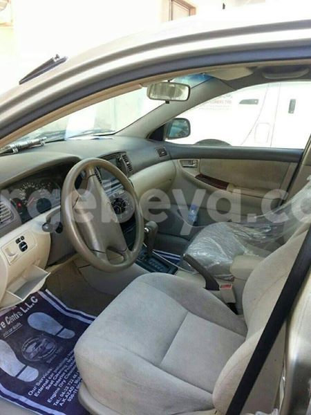 Big with watermark 18954797 10109901822210850 5806381462207131836 o