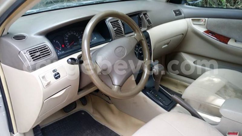 Big with watermark 18954797 10109901822210850 5806381462207131836 o