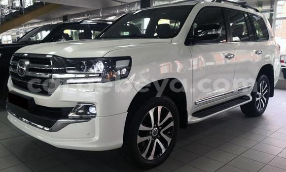 Buy Used Toyota Land Cruiser White Car in Addis–Ababa in Ethiopia Buy Used Toyota Land Cruiser White Car in Addis–Ababa in Ethiopia