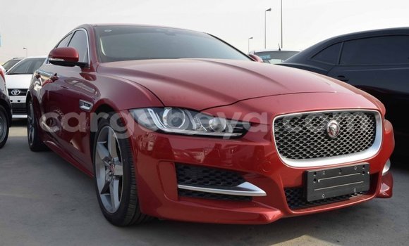 Buy Import Jaguar XE Red Car in Import - Dubai in Ethiopia