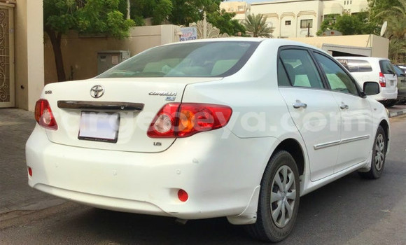 Buy Used Toyota Corolla White Car in Addis–Ababa in Ethiopia Buy Used Toyota Corolla White Car in Addis–Ababa in Ethiopia