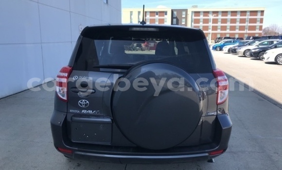 Buy Used Toyota RAV4 Blue Car in Addis–Ababa in Ethiopia Buy Used Toyota RAV4 Blue Car in Addis–Ababa in Ethiopia