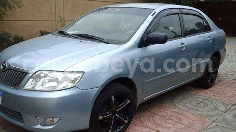 Big with watermark 13102816 10153514661212826 7074913094360894844 n