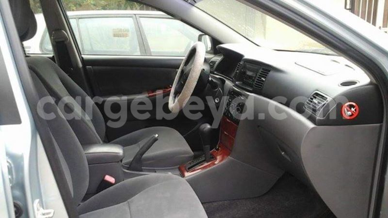 Big with watermark 13118986 10153514661282826 3245678851806229817 n