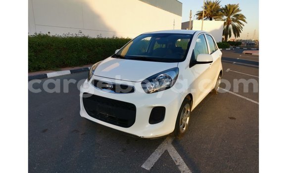 Buy Import Kia Picanto White Car in Import - Dubai in Ethiopia Buy Import Kia Picanto White Car in Import - Dubai in Ethiopia