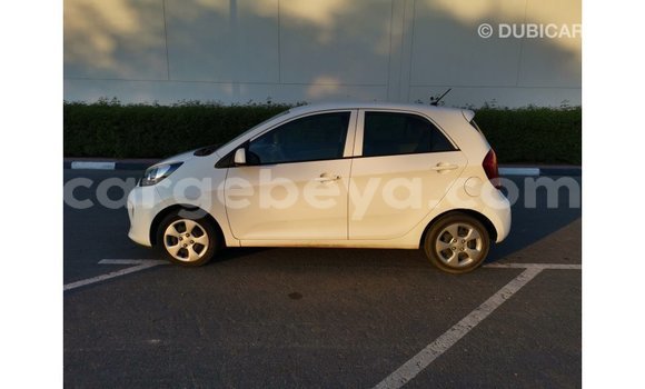 Buy Import Kia Picanto White Car in Import - Dubai in Ethiopia Buy Import Kia Picanto White Car in Import - Dubai in Ethiopia