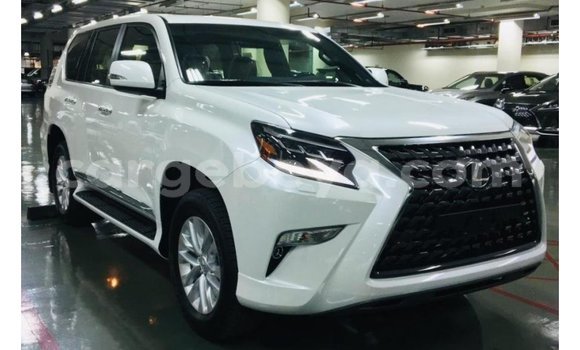 Buy Import Lexus GX White Car in Import - Dubai in Ethiopia Buy Import Lexus GX White Car in Import - Dubai in Ethiopia