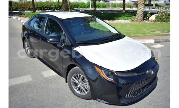 Buy Import Toyota Corolla Black Car in Import - Dubai in Ethiopia Buy Import Toyota Corolla Black Car in Import - Dubai in Ethiopia