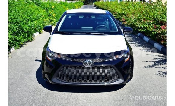 Buy Import Toyota Corolla Black Car in Import - Dubai in Ethiopia Buy Import Toyota Corolla Black Car in Import - Dubai in Ethiopia