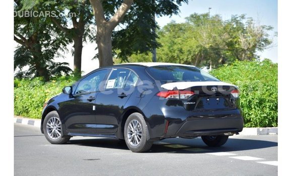 Buy Import Toyota Corolla Black Car in Import - Dubai in Ethiopia Buy Import Toyota Corolla Black Car in Import - Dubai in Ethiopia