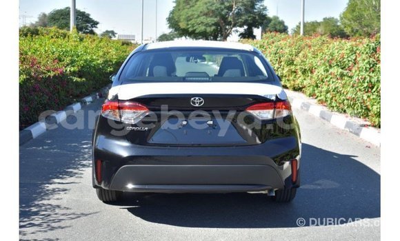 Buy Import Toyota Corolla Black Car in Import - Dubai in Ethiopia Buy Import Toyota Corolla Black Car in Import - Dubai in Ethiopia