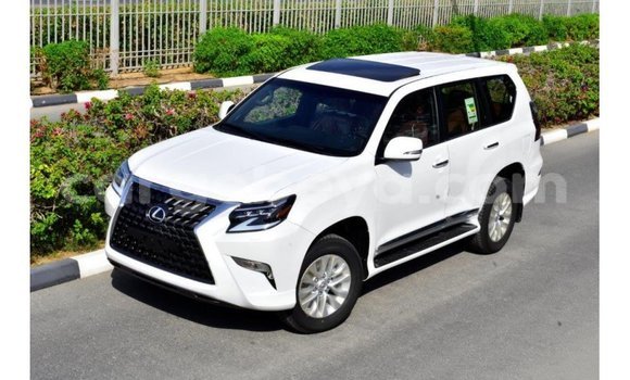 Buy Import Lexus GX White Car in Import - Dubai in Ethiopia Buy Import Lexus GX White Car in Import - Dubai in Ethiopia