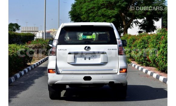 Buy Import Lexus GX White Car in Import - Dubai in Ethiopia Buy Import Lexus GX White Car in Import - Dubai in Ethiopia