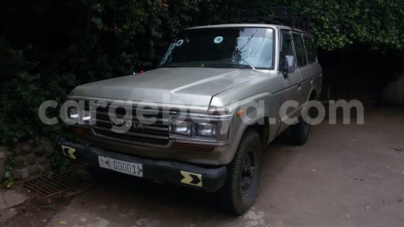 Big with watermark 13112879 256450084705004 3205327246727768424 o