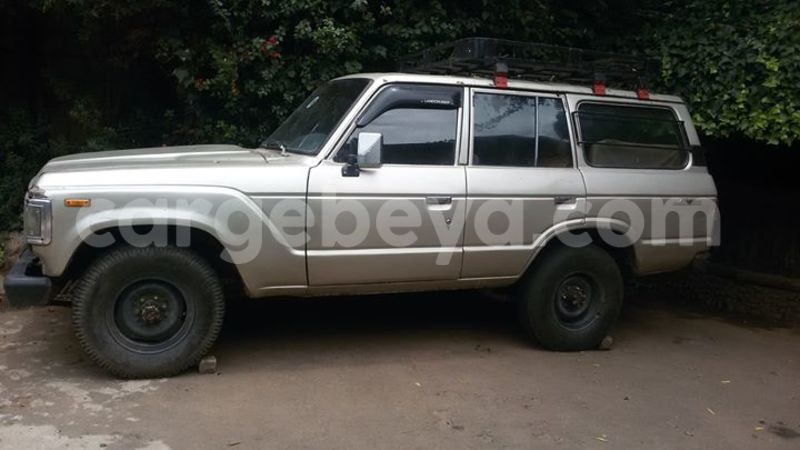 Big with watermark 13131736 256450078038338 3921010220724172820 o