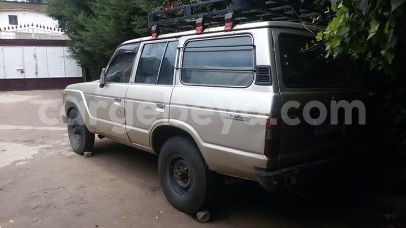 Big with watermark 13173365 256450071371672 2548055898715530187 o